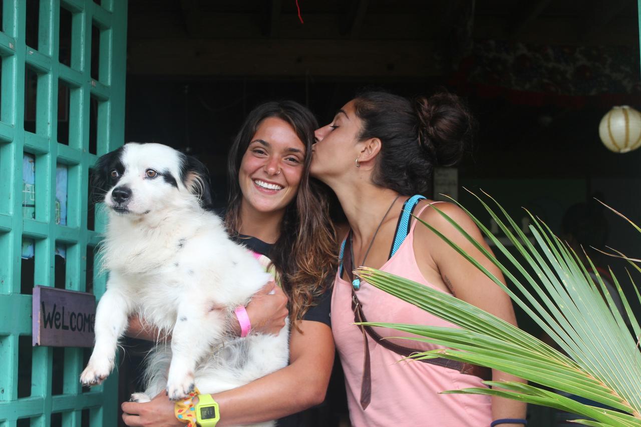 Coconut Hostel Bocas Town Экстерьер фото