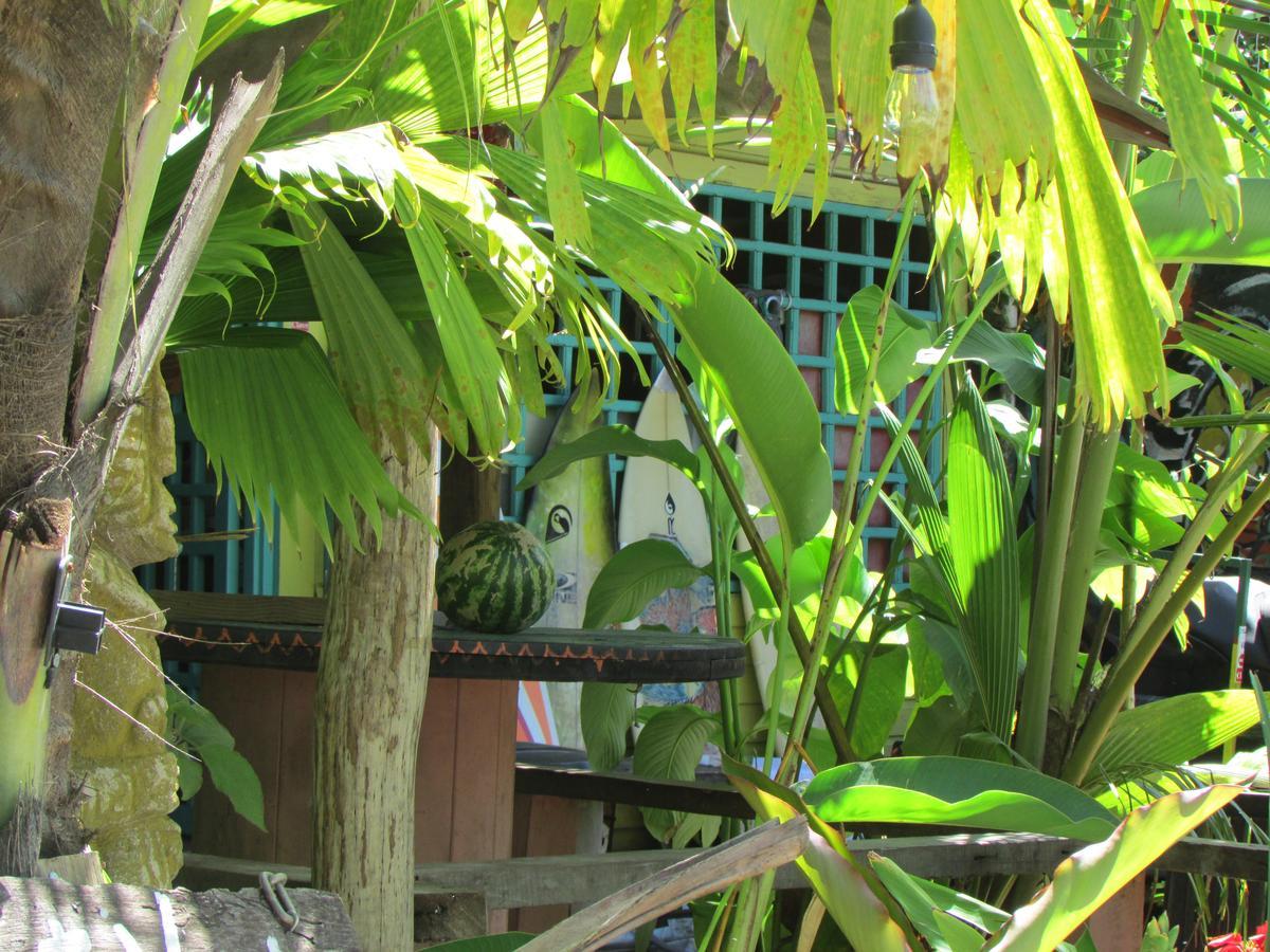 Coconut Hostel Bocas Town Экстерьер фото