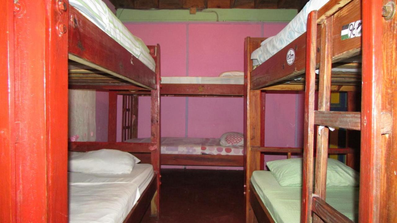 Coconut Hostel Bocas Town Экстерьер фото