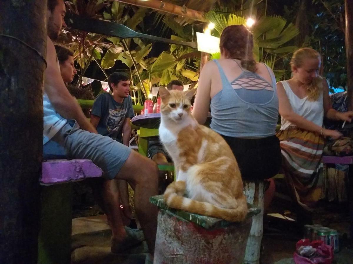 Coconut Hostel Bocas Town Экстерьер фото