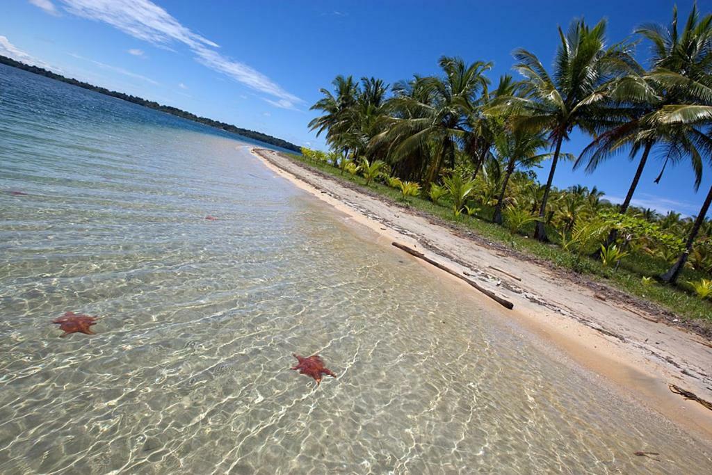 Coconut Hostel Bocas Town Экстерьер фото