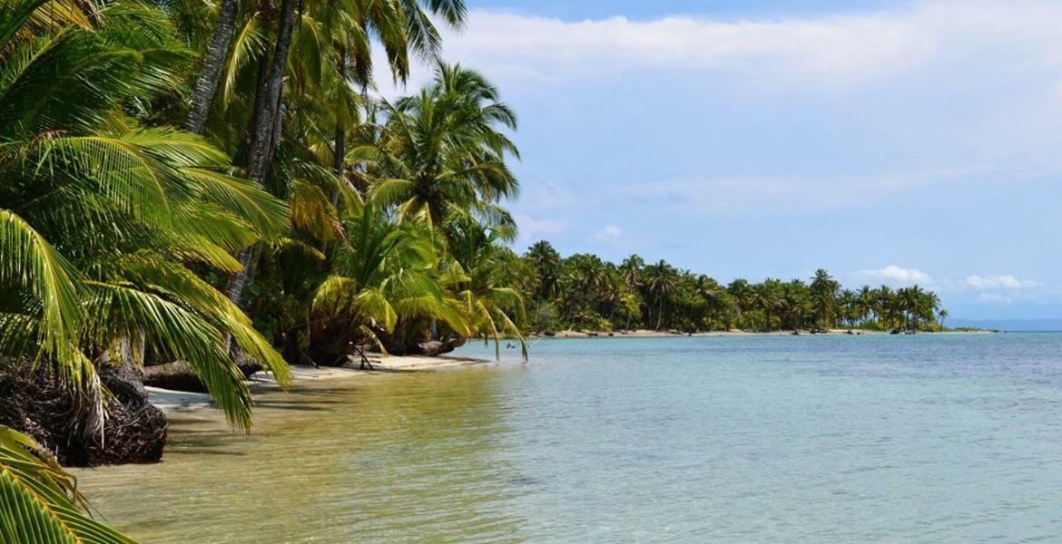 Coconut Hostel Bocas Town Экстерьер фото